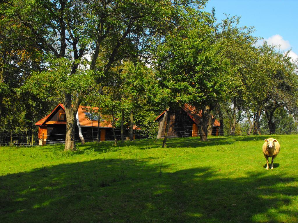 Agroturystyka Zacisze Czarna Owca Brzezanka Exterior photo