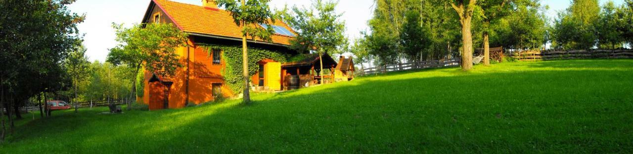 Agroturystyka Zacisze Czarna Owca Brzezanka Exterior photo