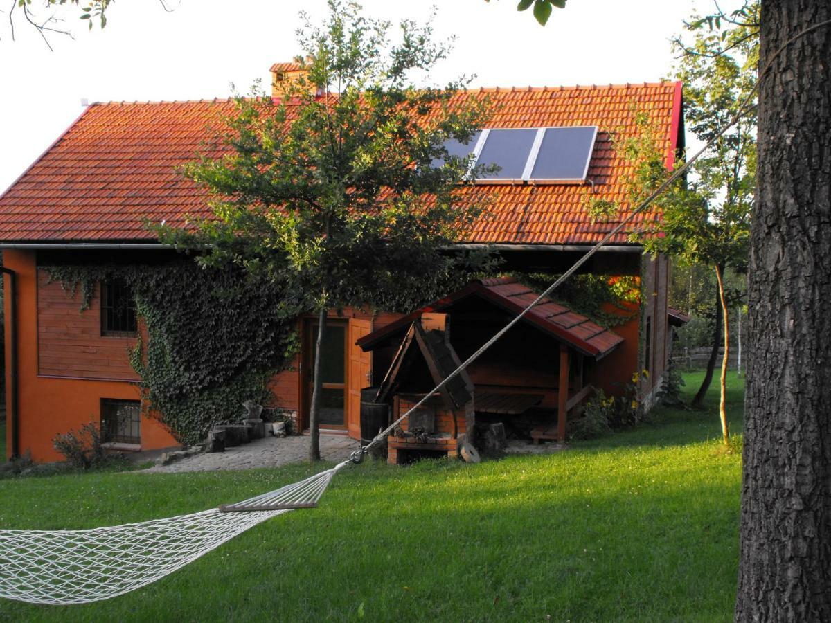 Agroturystyka Zacisze Czarna Owca Brzezanka Exterior photo